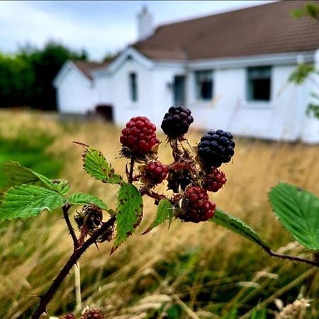 Cathleen'S Cottage 뉴리 외부 사진